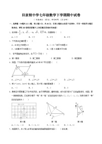 四川省自贡市田家炳中学2023-2024学年七年级下学期期中考试数学试题