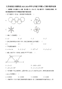 江苏省宿迁市泗阳县2023-2024学年七年级下学期期中数学试题（原卷版+解析版）