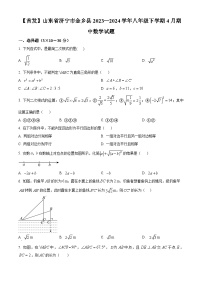 山东省济宁市金乡县2023-2024学年八年级下学期4月期中考试数学试题（原卷版+解析版）