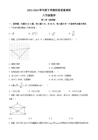 山东省临沂市兰陵县2023-2024学年八年级下学期4月期中数学试题（原卷版+解析版）