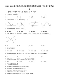 重庆市开州区德阳教育集团2023-2024学年七年级下学期期中数学试题（原卷版+解析版）