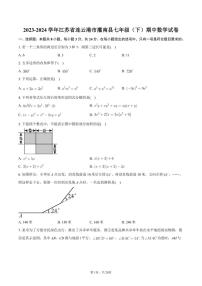 2023-2024学年江苏省连云港市灌南县七年级（下）期中数学试卷+答案解析