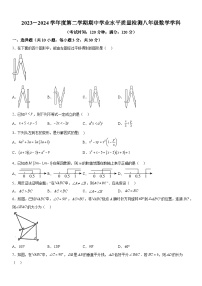 山东省青岛市部分学校2023-2024学年八年级下学期4月期中数学试题（含解析）