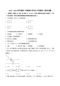 山东省淄博市高新区2023-2024学年八年级下学期期中考试数学试题（含解析）