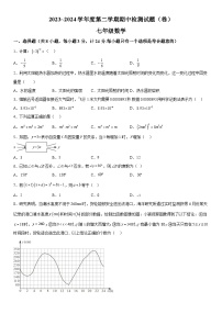 陕西省陕西学林2023-2024学年七年级下学期期中数学试题（含解析）