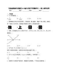 甘肃省陇南市武都区2024届九年级下学期联考（一模）数学试卷(含答案)