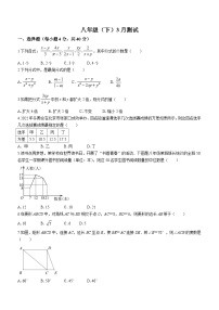 福建省泉州市北峰中学2023-2024学年八年级下学期月考数学试题(无答案)