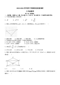 山东省临沂市兰陵县2023-2024学年八年级下学期4月期中数学试题(无答案)