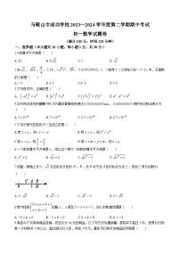 安徽省马鞍山市成功学校2023-2024学年七年级下学期期中数学试题(无答案)