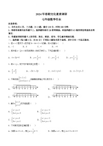 河南省南阳市西峡县2023-2024学年七年级下学期期中数学试题(含答案)