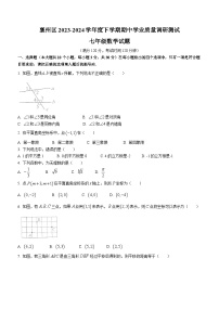 湖北省襄阳市襄州区2023-2024学年七年级下学期期中数学试题(无答案)