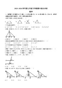 河北省保定市第十三中学2023-2024年七年级下学期期中数学试题(含答案)