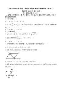 广东省广州市白云华附中学2023-2024学年七年级下学期期中数学试题(无答案)