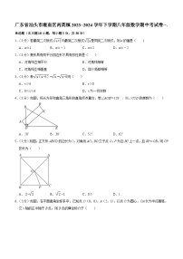广东省汕头市潮南区两英镇2023~2024学年八年级下学期期中考试数学试卷（含答案）