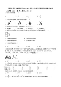 湖北省武汉市南湖中学2023-2024学年九年级下学期月考数学试题(无答案)