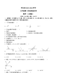 河北省邯郸市第十三中学2023-2024学年七年级下学期期中数学试题(无答案)