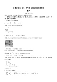 安徽省阜阳市太和县2023-2024学年七年级下学期期中数学试题(无答案)