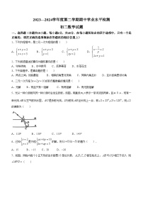 山东省淄博市高新区2023-2024学年八年级下学期期中考试数学试题(无答案)(无答案)