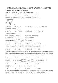 广东省东莞市南城开心实验学校2023-2024学年七年级下学期期中数学试题(无答案)