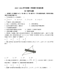 山东省济宁市任城区2023-2024学年七年级下学期期中数学试题(无答案)