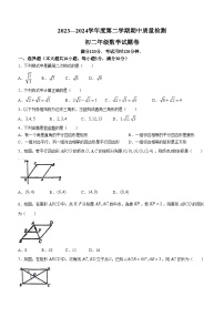 广东省广州外国语学校2023-2024学年八年级下学期期中数学试题(无答案)