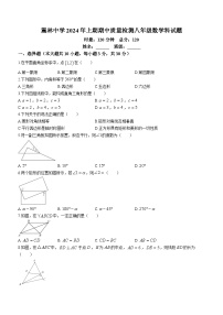 湖南省株洲市攸县震林中学2023-2024学年八年级下学期期中数学试题(无答案)