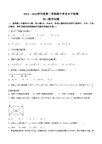 山东省淄博市高新区2023-2024学年九年级下学期期中考试数学试题(无答案)