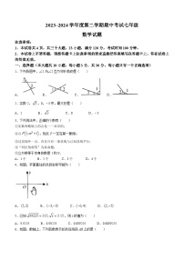 河南省漯河市临颍县2023-2024学年七年级下学期期中数学试题（含答案）