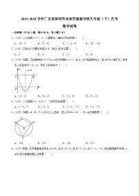 广东省深圳市龙华区振能学校2023-2024学年九年级下学期月考数学试卷（含答案）