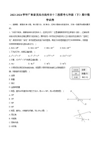 2023-2024学年广东省茂名市高州市十二校联考七年级（下）期中数学试卷（含解析）