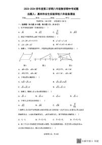 广东省惠州市惠城区合生实验学校2023-2024学年下学期八年级数学期中试卷