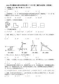 2024年安徽省合肥市第四十二中学中考数学二模作业试卷