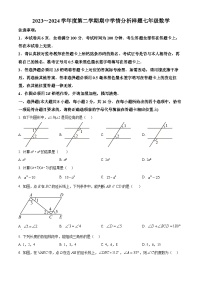 江苏省南京市联合体2023-2024学年七年级下学期期中考试数学试题（原卷版+解析版）