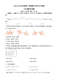 山东省聊城市莘县2023-2024学年七年级下学期期中数学试题（原卷版+解析版）