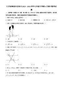 江苏省南通市启东市2023-2024学年七年级下学期期中数学试题（原卷版+解析版）