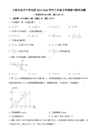 上海市进才中学北校2023-2024学年八年级下学期期中数学试题（原卷版+解析版）