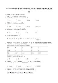 2020-2021学年广东省阳江市阳东区八年级下学期期末数学试题及答案