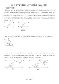 初一数学下册专题练习1--平行线压轴题（动线，拐点）（PDF版，含答案）