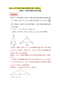 专题31三角形与新定义综合问题（教师版）-拔尖2023中考数学压轴题突破（全国通用）