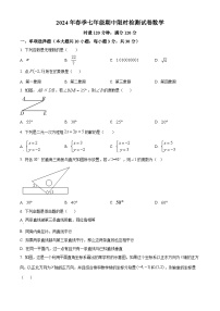 湖南省长沙市长郡双语实验中学、雨花外国语学校2023-2024学年七年级下学期期中数学试题（原卷版+解析版）