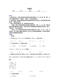 代数式-中考数学二轮知识梳理+专项练习（全国通用）