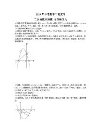 2024年中考数学二轮复习 二次函数压轴题 专项练习九（含答案）