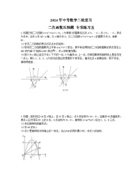 2024年中考数学二轮复习 二次函数压轴题 专项练习五（含答案）