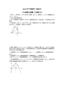 2024年中考数学二轮复习 二次函数压轴题 专项练习八（含答案）