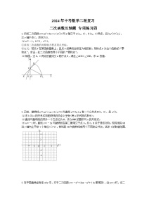 2024年中考数学二轮复习 二次函数压轴题 专项练习四（含答案）