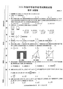 2024年安徽省合肥市新站区中考二模数学试题级答案