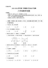 广东省韶关市新丰县2023-2024学年八年级下学期期中考试数学试题