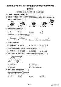 广西柳州铁五中学2023—2024学年七年级下学期期中考试数学试题