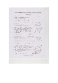 湖北省黄石市黄石港区黄石八中教联体2023-2024学年八年级下学期5月期中数学试题