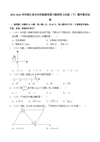 2023-2024学年浙江省台州市临海市第六教研区七年级（下）期中数学试卷（含解析）